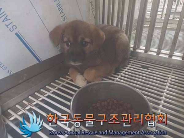 한국동물구조관리협회_441414202400646